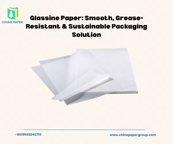 Glassine Paper: Smooth, Grease-Resistant & Sustainable Packaging Solution